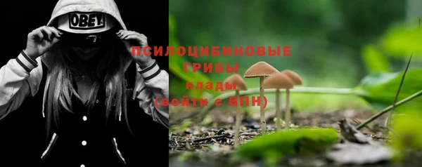 прущая мука Зеленокумск