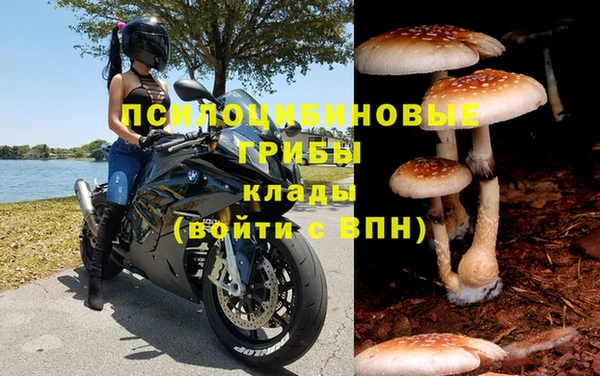 apvp Зерноград